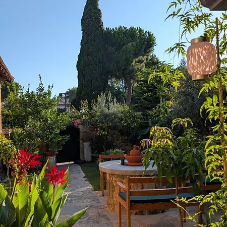Mondovilla A Charming In Ancient Near The Theatre Just 60 Meters From The * Side