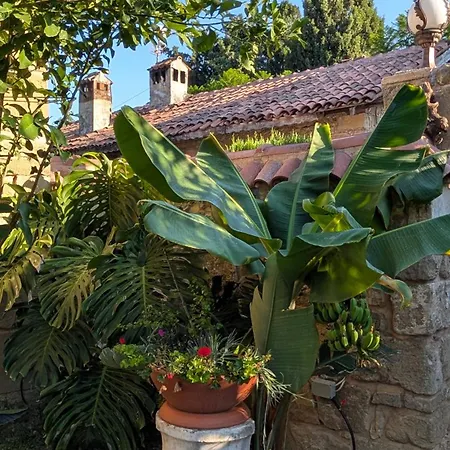 Mondovilla A Charming In Ancient Near The Theatre Just 60 Meters From The Villa